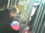 Image-103.jpg
